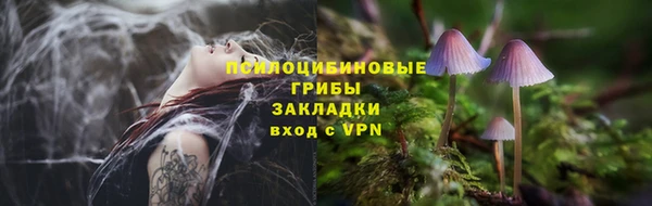 мяу мяу мука Козловка