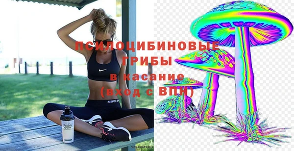 молекула духа Кодинск