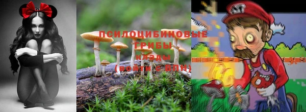 молекула духа Кодинск