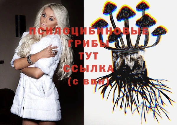 мяу мяу мука Козловка