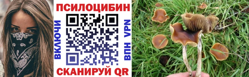 Купить где  Апрелевка  Галлюциногенные грибы ЛСД 